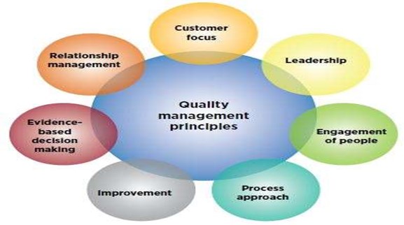 Image showing the seven quality management principles